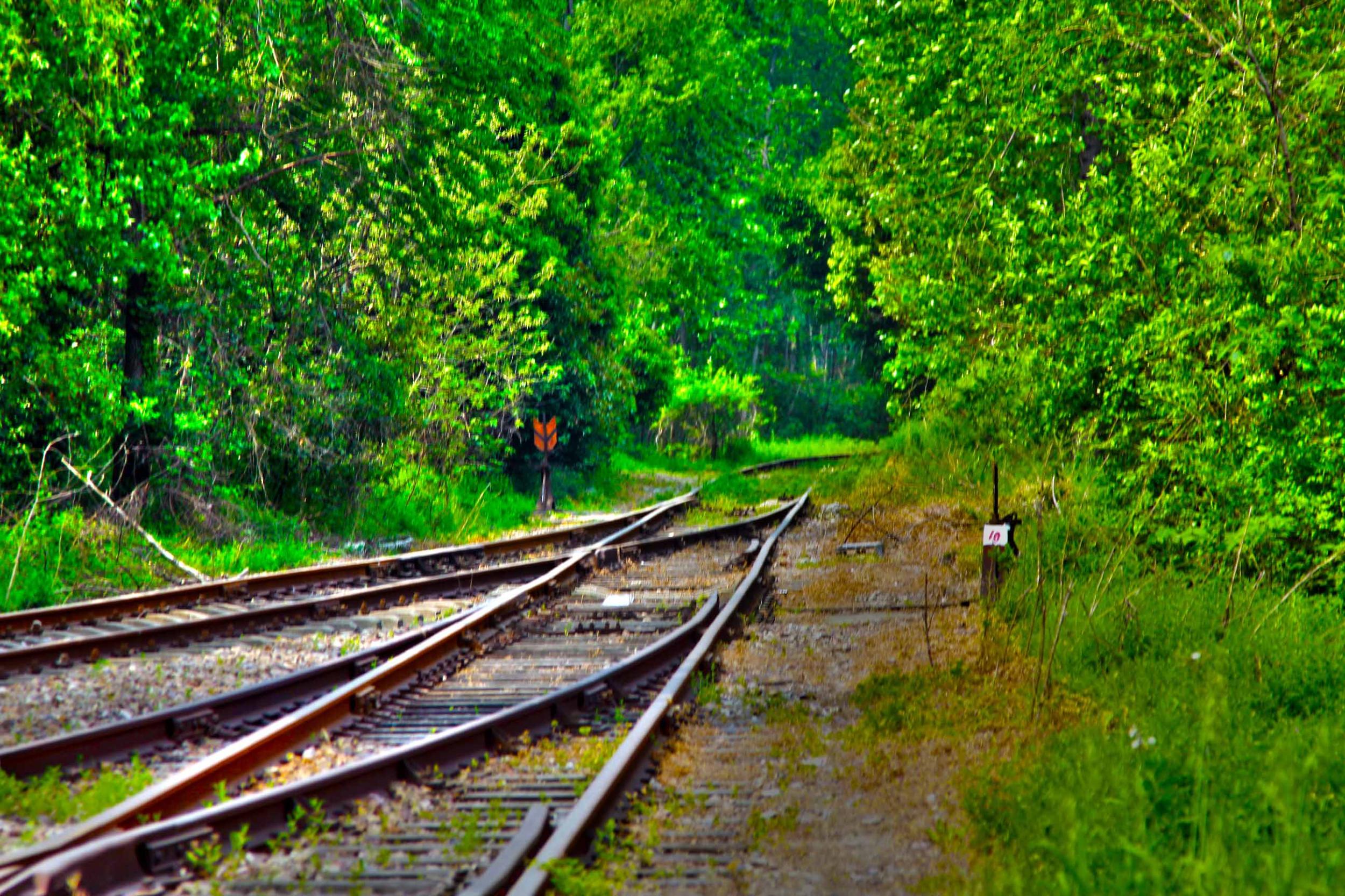 我省今年年內(nèi)有4條鐵路線投入運營更多出行選擇！