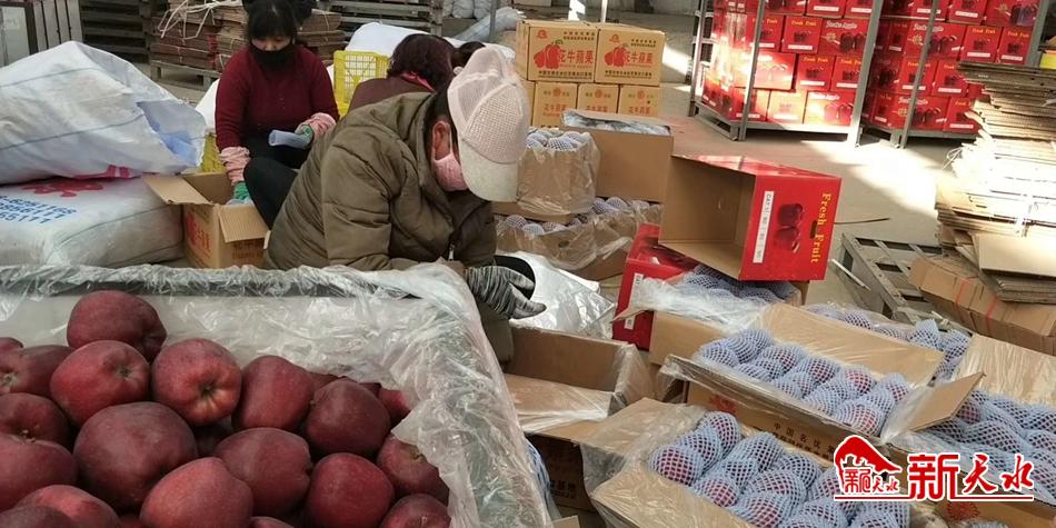 天水“花牛”最近有點(diǎn)“?！?>
        </a><em>天水“花?！弊罱悬c(diǎn)“?！?/em></li>
    <li><a  target=