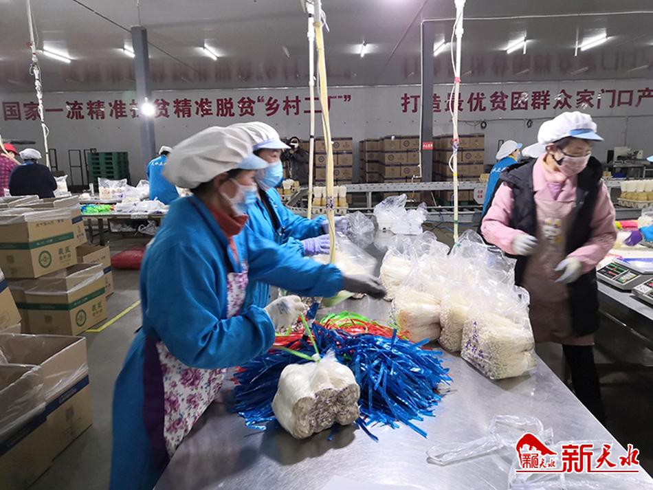 扶貧車間“春意濃”—天水多措并舉統(tǒng)籌推動扶貧車間有序復(fù)工復(fù)產(chǎn)紀實