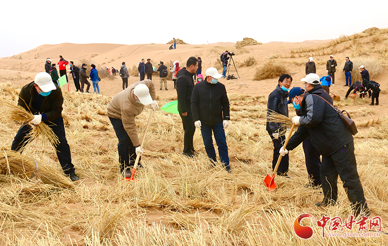 不“疫”樣的植樹(shù)節(jié)！甘肅省新聞戰(zhàn)線工作者攜手播綠“八步沙”（圖+視頻）