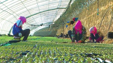 【抓實抓細疫情防控 精準(zhǔn)推進復(fù)工復(fù)產(chǎn)】解難題 穩(wěn)就業(yè) 保生產(chǎn) 促發(fā)展 ——永昌縣多舉措助推企業(yè)復(fù)工復(fù)產(chǎn)