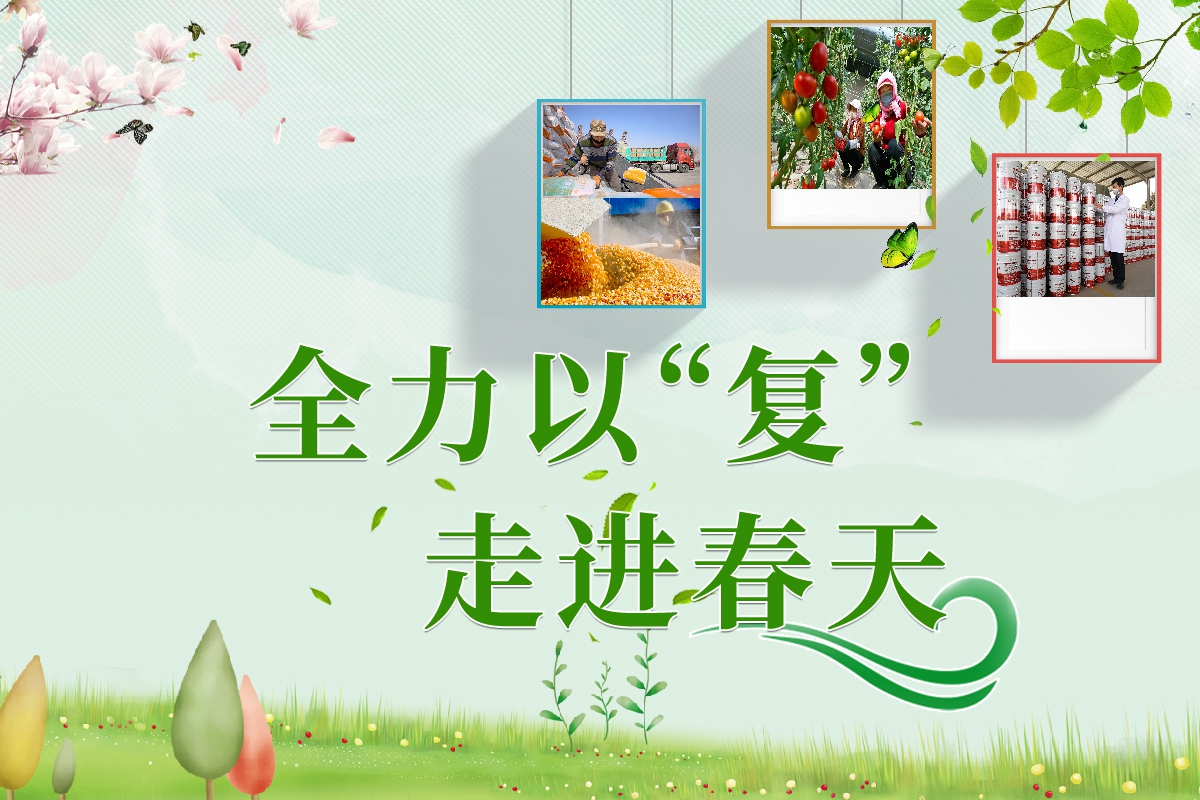 長(zhǎng)圖|全力以“復(fù)”！甘肅走進(jìn)春天里  