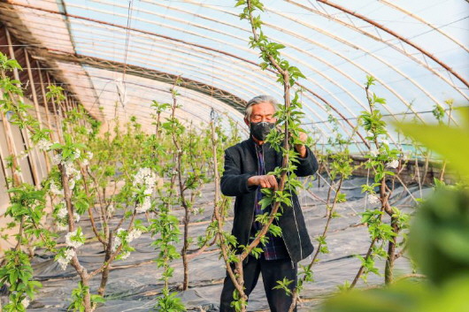 銅城復(fù)蘇：春光明媚，邀你共賞芳華（組圖）