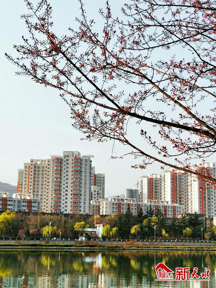 春天，古城天水的十個美麗瞬間