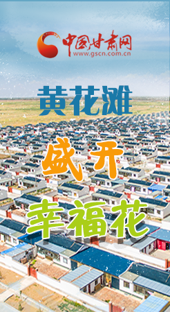 【跟著總書記看甘肅】長圖|武威黃花灘盛開幸?；?