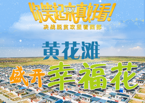 【你笑起來真好看】黃花灘盛開幸?；ǎ▓D解）