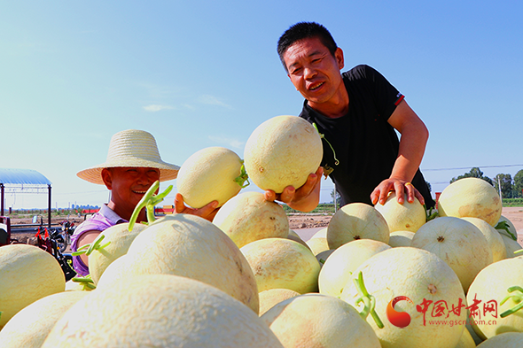 甘肅民勤：發(fā)展綠色主導產(chǎn)業(yè) 打造農(nóng)民致富特色品牌
