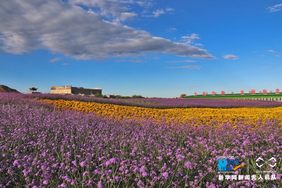 【“飛閱”中國(guó)】鳳凰花?！罢钩帷钡は伎?>
        </a><em>【“飛閱”中國(guó)】鳳凰花?！罢钩帷钡は伎?/em></li>
    <li><a  target=