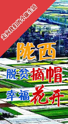 【走向我們的小康生活】長(zhǎng)圖|隴西：脫貧摘帽 幸?；ㄩ_