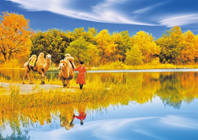 國(guó)慶長(zhǎng)假，去金塔遇見(jiàn)最美胡楊