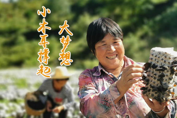 海報(bào)丨他們，乘“豐”破浪！