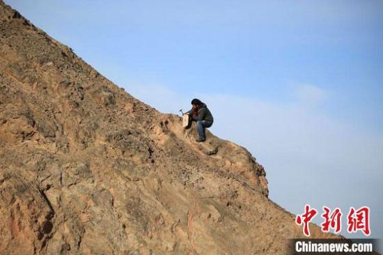 圖為敦煌“80后”畫家張杰龍?jiān)诙鼗腿Ｉ嚼锊杉V石顏料。(資料圖)受訪者供圖