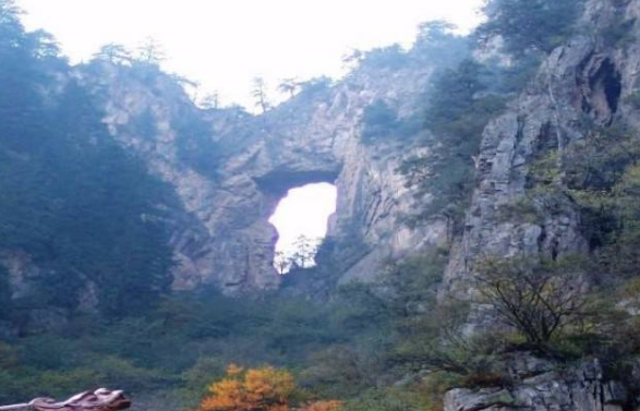 吐魯溝國(guó)家森林公園正式閉園