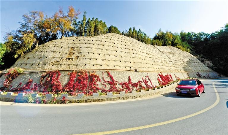 近90度陡坡上種樹(shù)！蘭州南北兩山綠化出新招