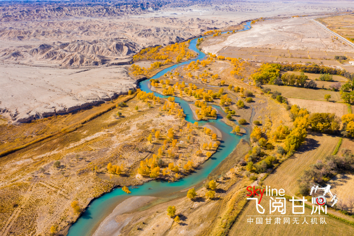 【飛閱甘肅】好美！疏勒河畔大地斑斕