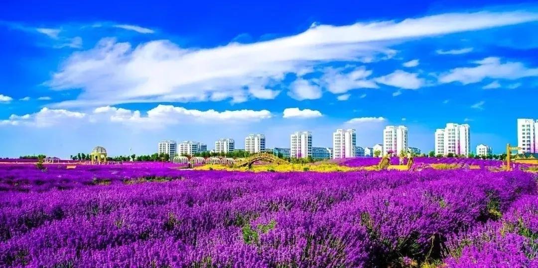 喜訊！金昌蟬聯(lián)全國文明城市