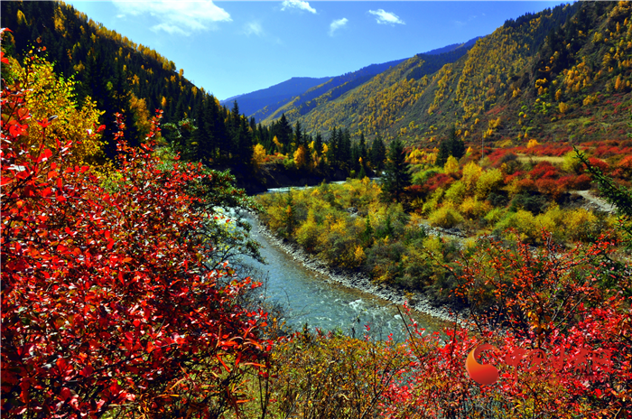 【擔(dān)使命 聚同心 促巨變 省直部門落實(shí)脫貧攻堅責(zé)任工作紀(jì)實(shí)】綠水青山戰(zhàn)貧困 甘肅省生態(tài)扶貧帶動百姓增收