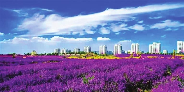 “三連冠”！金昌蟬聯(lián)全國(guó)文明城市