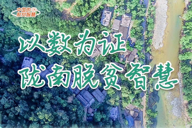 【中國的脫貧智慧】以數(shù)為證！隴南脫貧智慧來了！