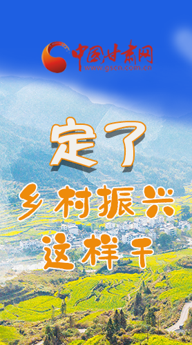 圖解|定了！全面推進(jìn)鄉(xiāng)村振興這樣干！