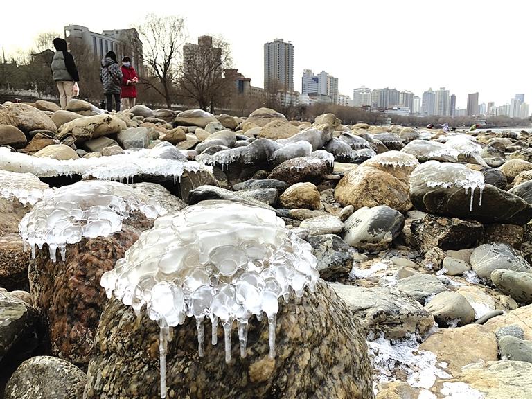 蘭州：水母上河灘？