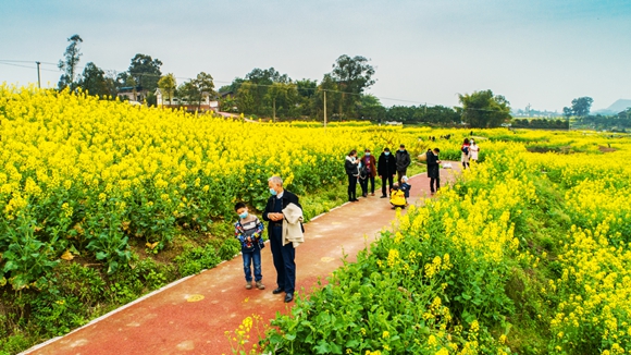 游客在花海里踏青。廖濤 攝