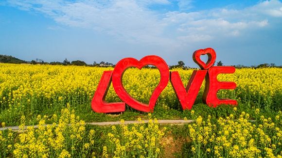 “l(fā)ove”創(chuàng)意拍照墻。廖濤 攝