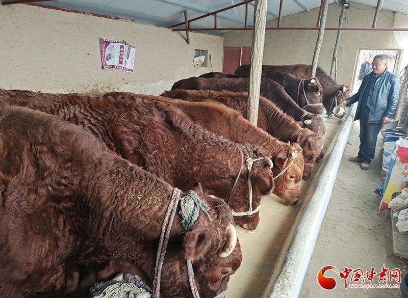 平?jīng)鰶艽ǎ骸芭！碑a(chǎn)業(yè)鋪就致富路