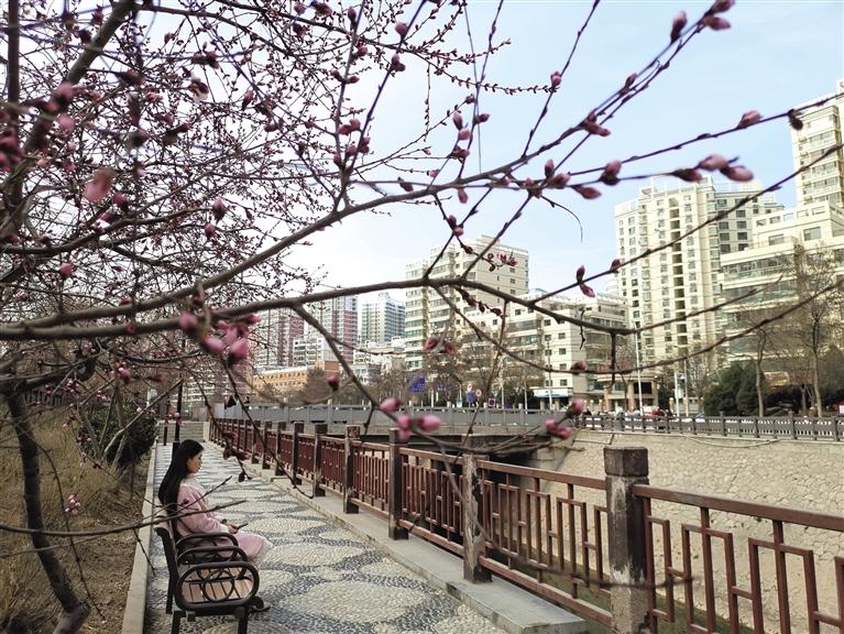 蘭州“第一朵花”開了！