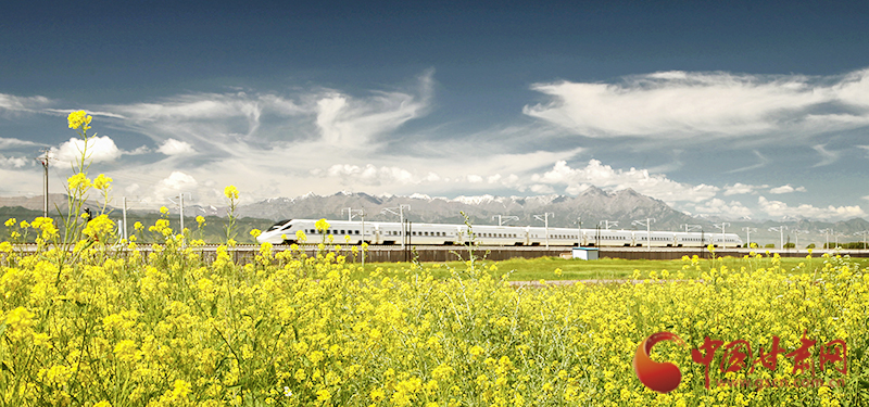 坐上火車“邂逅”春天，你可以這樣享“鐵路游”