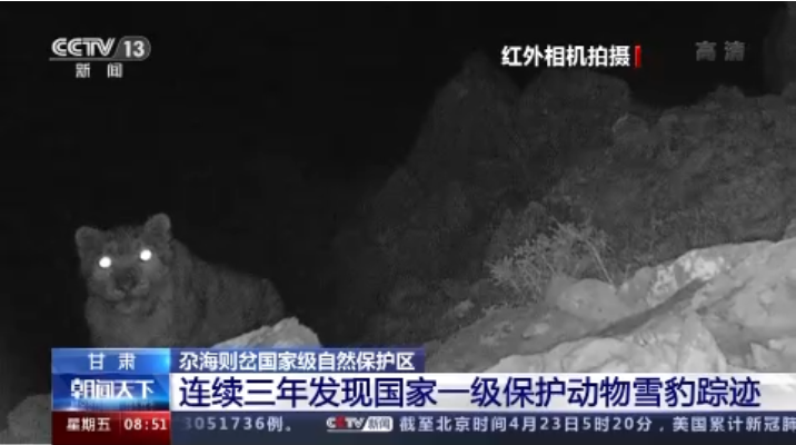 “大貓”出沒！甘肅尕海則岔保護區(qū)連續(xù)三年發(fā)現雪豹蹤跡