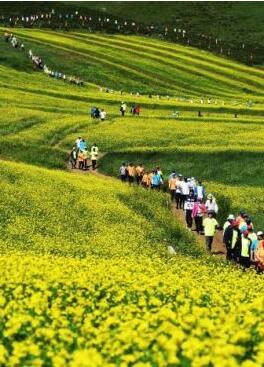 甘肅明確農(nóng)民進(jìn)城落戶:不以退出承包地、林地等為條件