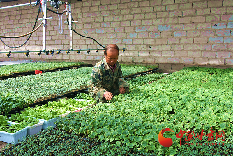 瓜州：學黨史辦實事 讓產業(yè)分紅資金曬在陽光下