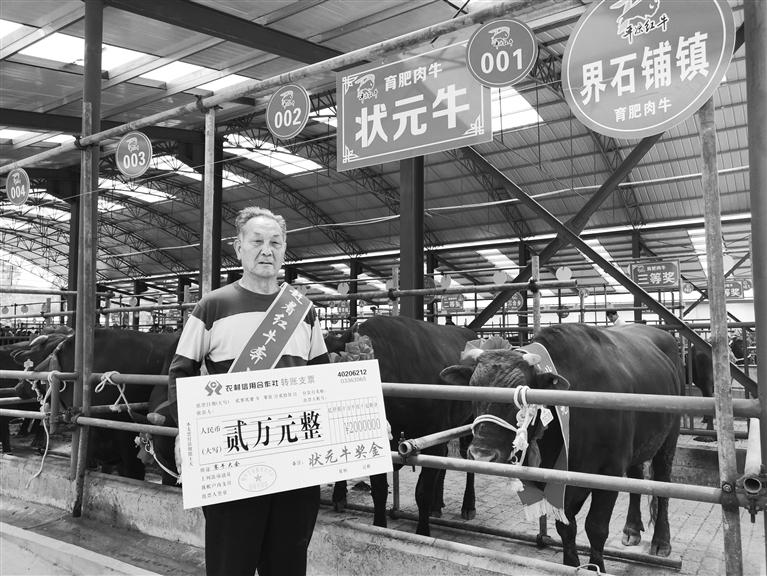 120頭“平?jīng)黾t?！膘o寧爭霸