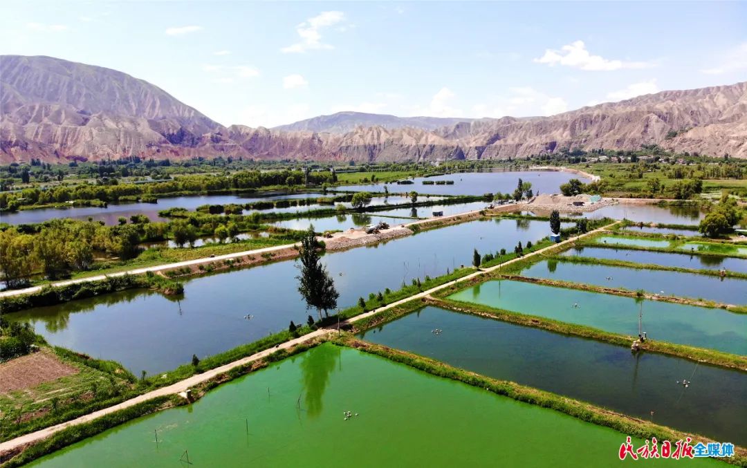 一秒入畫！太極島濕地風(fēng)光秀麗