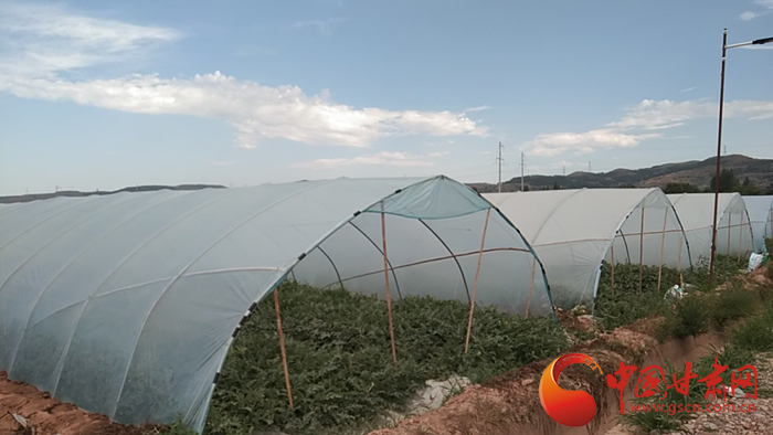 【蘭大新聞學(xué)子重走西北角】平?jīng)龌ㄋ?zhèn)：“流動(dòng)的”西瓜大棚圓了“小康夢”