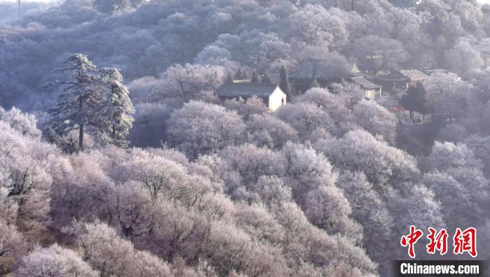 圖為霧凇美景?！⌒煺袢A 攝