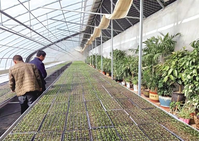 春來好時節(jié) 田間農(nóng)事忙 皋蘭縣計(jì)劃完成農(nóng)作物春播面積26萬畝