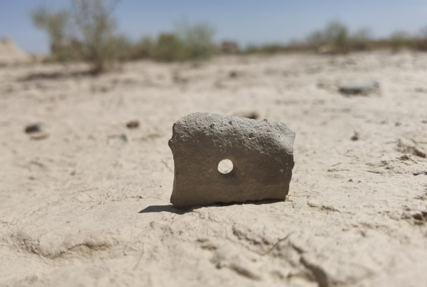 插圖1：河西走廊上遺存的古陶片。攝影：陳曉斌。拍攝日期：2020年6月。