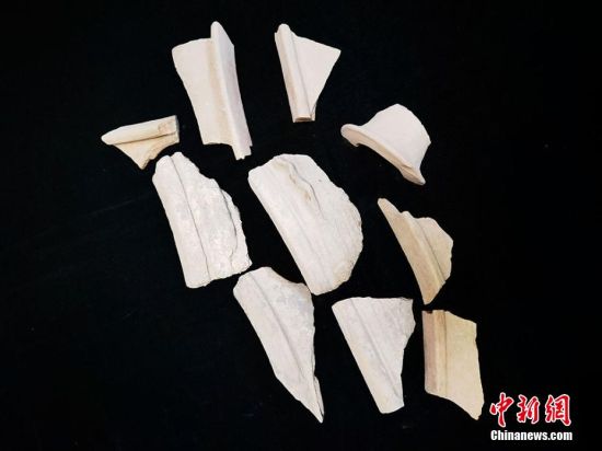 圖為靜寧縣賈河鄉(xiāng)竇坪村出土的彩陶片、紅陶片。 夏劍鋒 攝