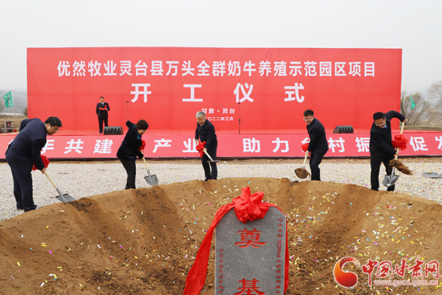 總投資7.2億元！優(yōu)然牧業(yè)靈臺縣萬頭全群奶牛養(yǎng)殖示范園區(qū)項目開工