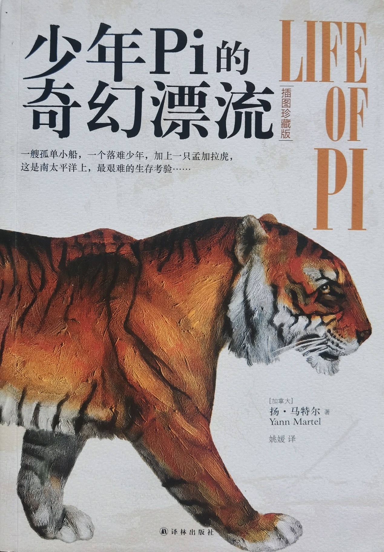 插圖1：揚？馬特爾的小說《少年pi的奇幻漂流》封面