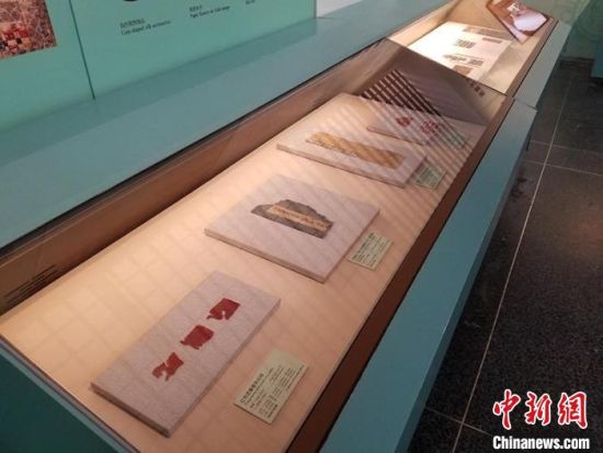 圖為展覽現(xiàn)場?！《鼗脱芯吭汗﹫D