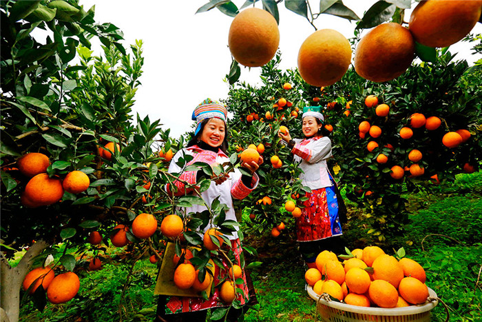 1657843011872021.jpg W020220704317476913831.jpg