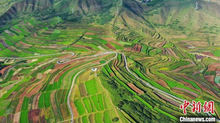 秋日里，榆中縣馬坡鄉(xiāng)千畝梯田，不同農(nóng)作物漸趨成熟，呈現(xiàn)出多種色彩，宛若大地的“調(diào)色盤”?！圆?攝