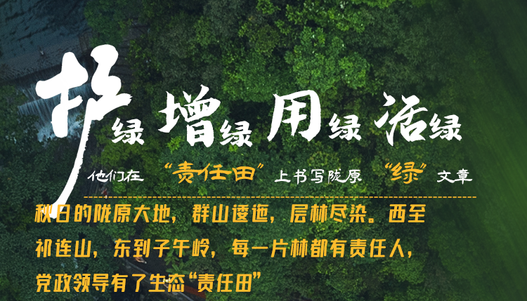 長(zhǎng)圖丨護(hù)綠 增綠 用綠 活綠 他們?cè)凇柏?zé)任田”上書寫隴原“綠”文章