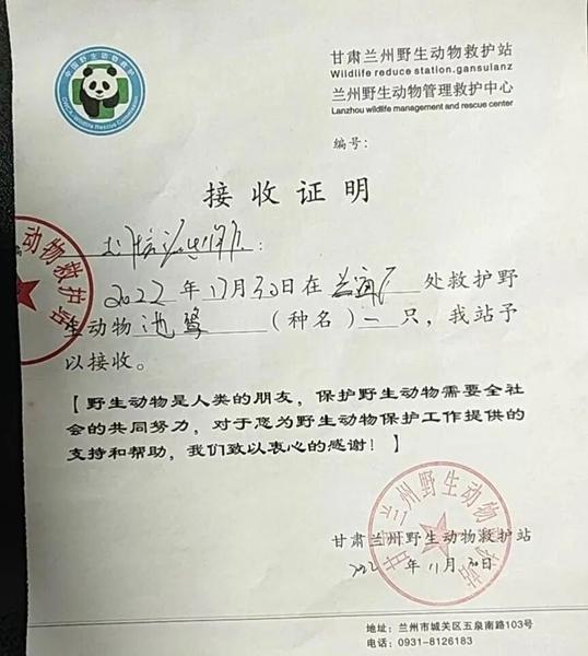 受到救助的池鷺被蘭州野生動物保護站接收。（蘭州市公安局七里河分局供圖）