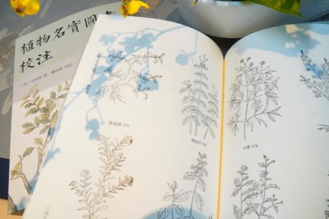 《植物名實(shí)圖考校注》內(nèi)頁。圖片來源：中華書局供圖