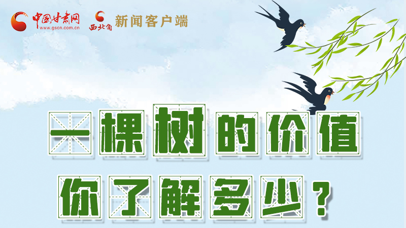 圖解|一棵樹的價值你了解多少?來看！