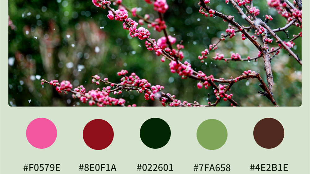 微海報|收藏！色卡里的春日甘肅